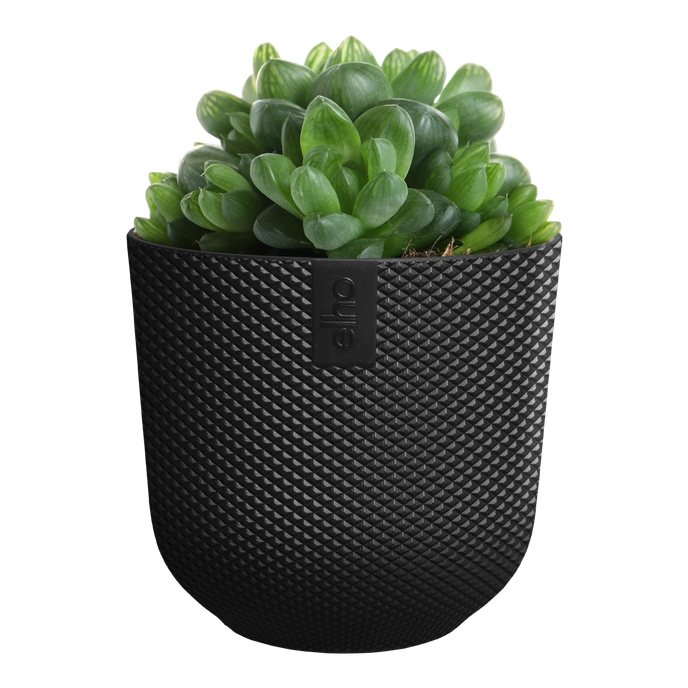 jazz rund mini 7cm living schwarz